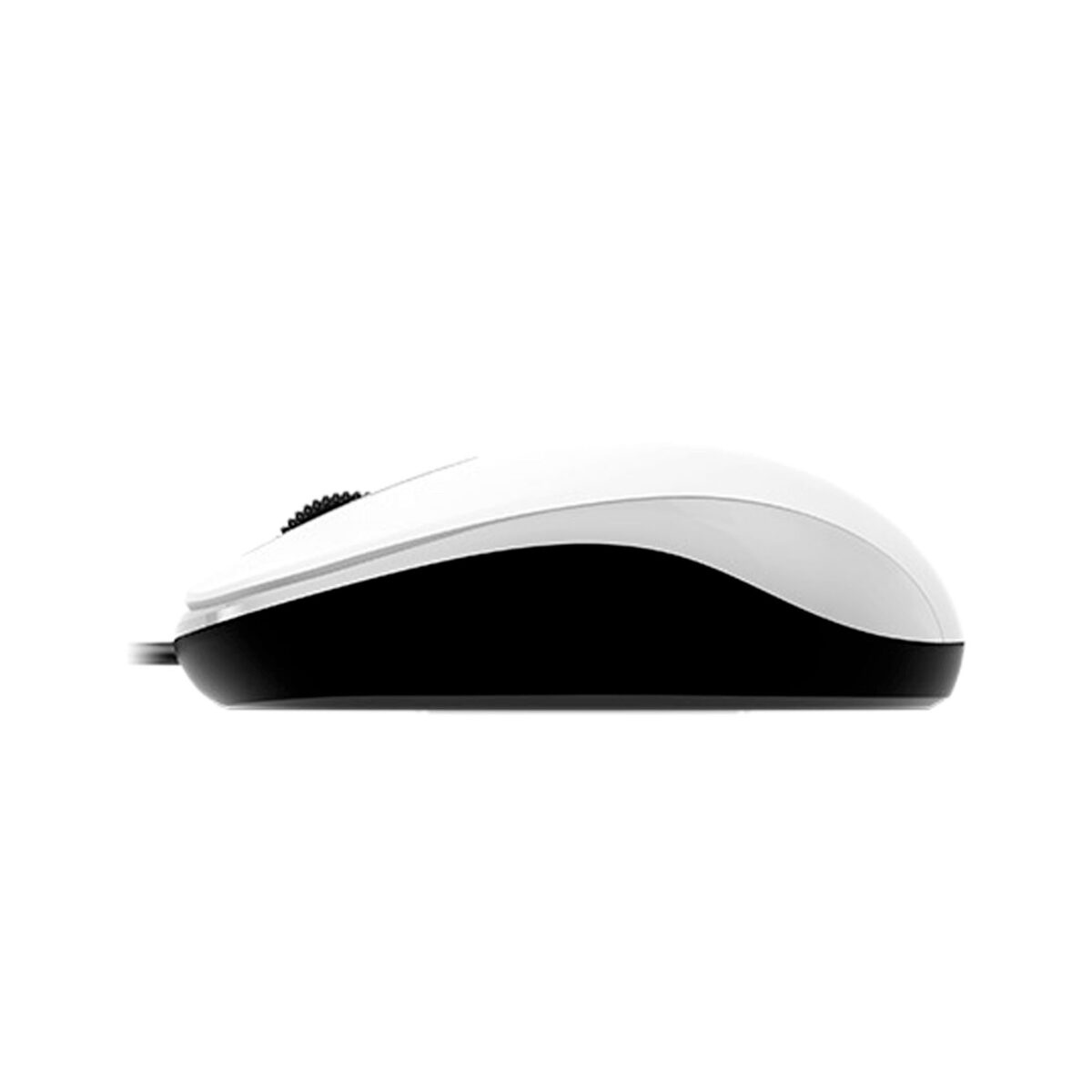 MOUSE GENIUS DX-110 USB OPTICO 1000 DPI WHITE (PN 31010116102) - Imagen 3